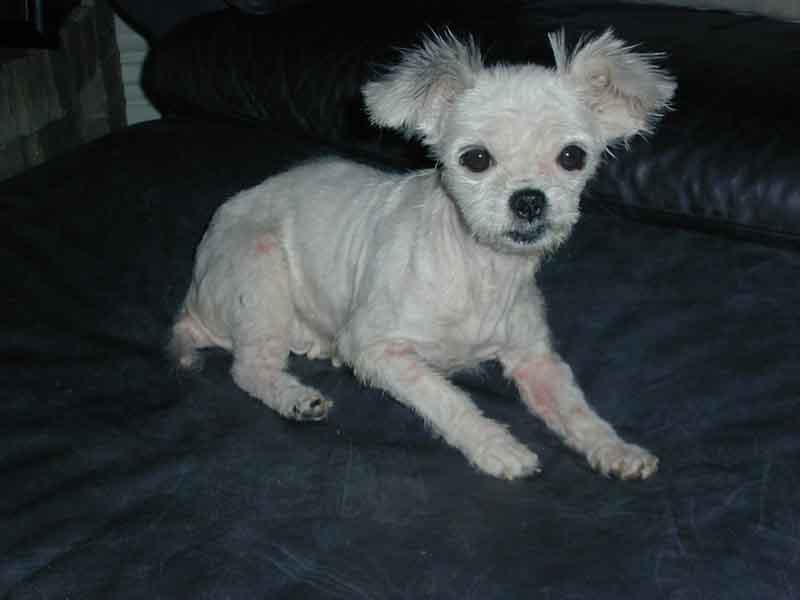 Read Daisy's Story&nbsp; here