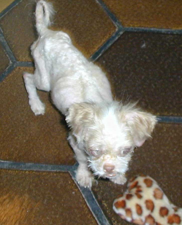 Read about this little neglected baby