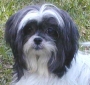 Cherie's Story
