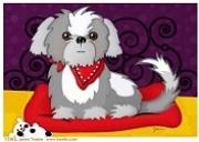 Lone Star Shih Tzu and Lhasa Apso Rescue of Texas