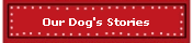 Our Dog's Stories